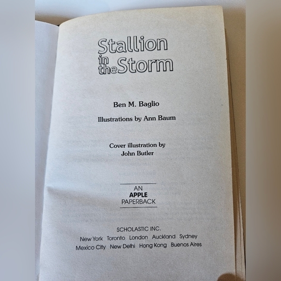 Stallion in the Storm Why did he come back? Ben M. Baglio Kids Toys Book - Picture 3 of 8